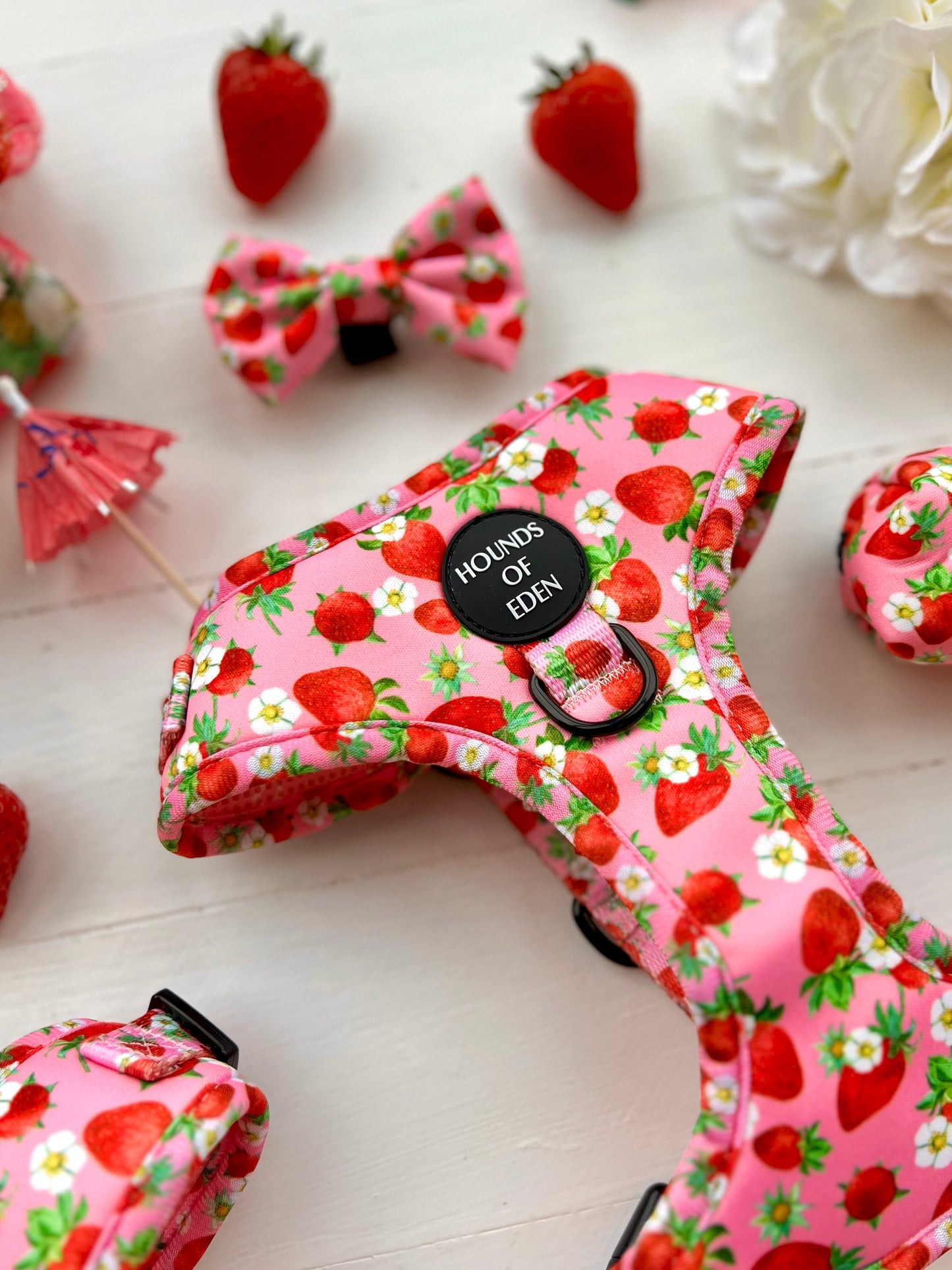 Strawberry Patch Design Dog Harness