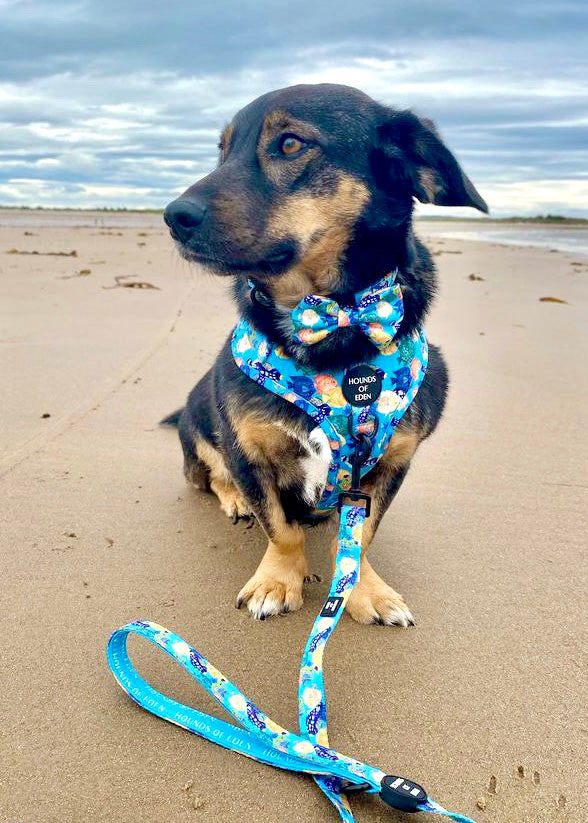 Under The Sea Design Dog Collar