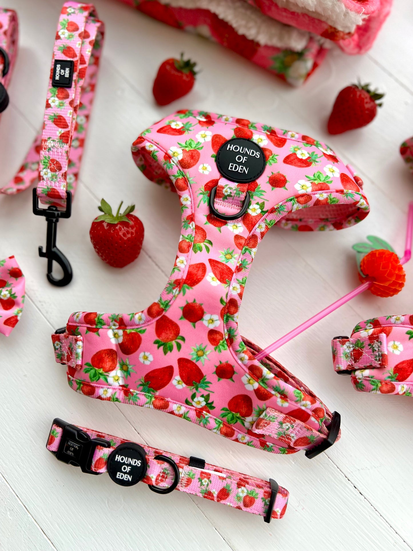 Strawberry Patch Design Dog Collar