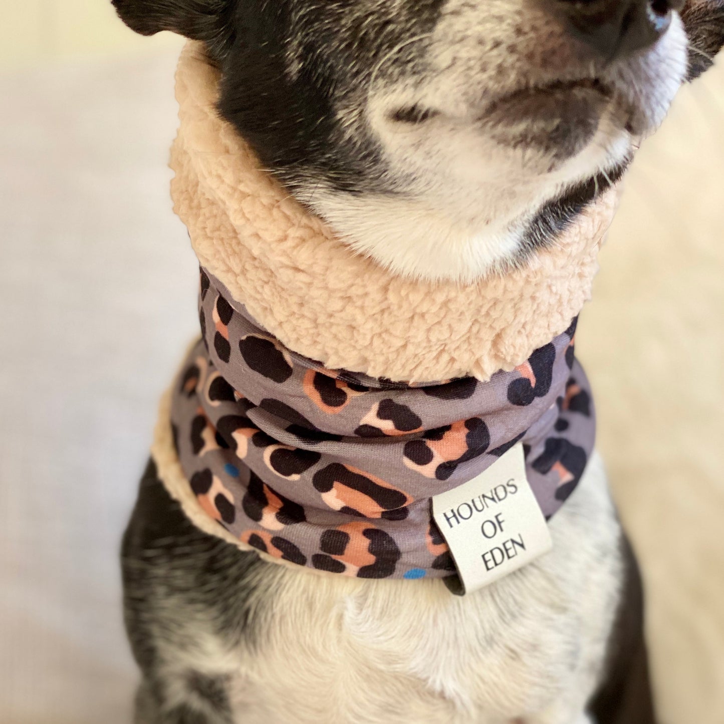 Steel Leopard Dog Snood