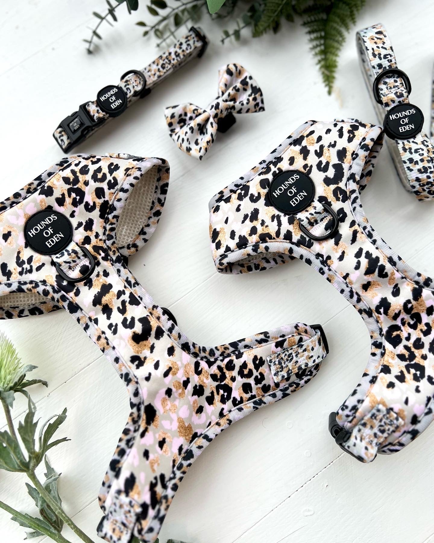 Sage Leopard Design Dog Harness