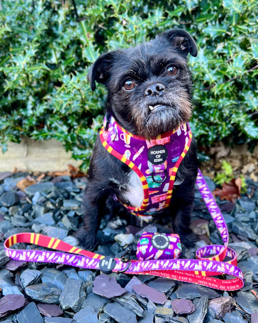 Harry Pawter Design Poop Bag Holder