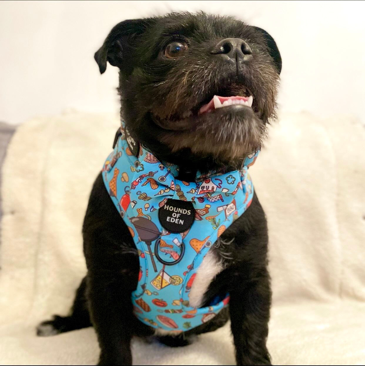 Grill 'n' Chill - Dog Bow Tie