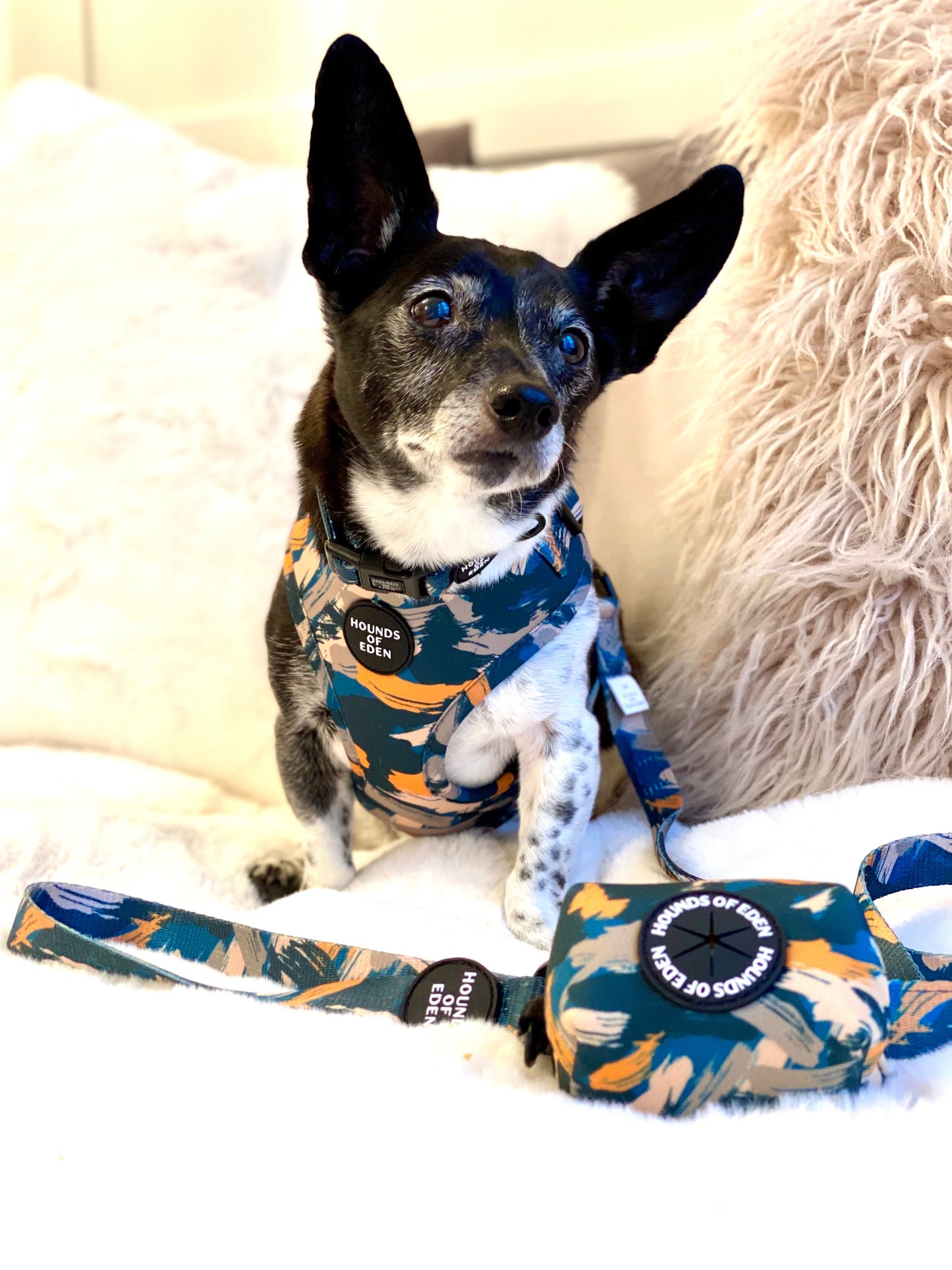 'Brush it Off' - Olive, Blue & Orange Camo Pattern Dog Collar
