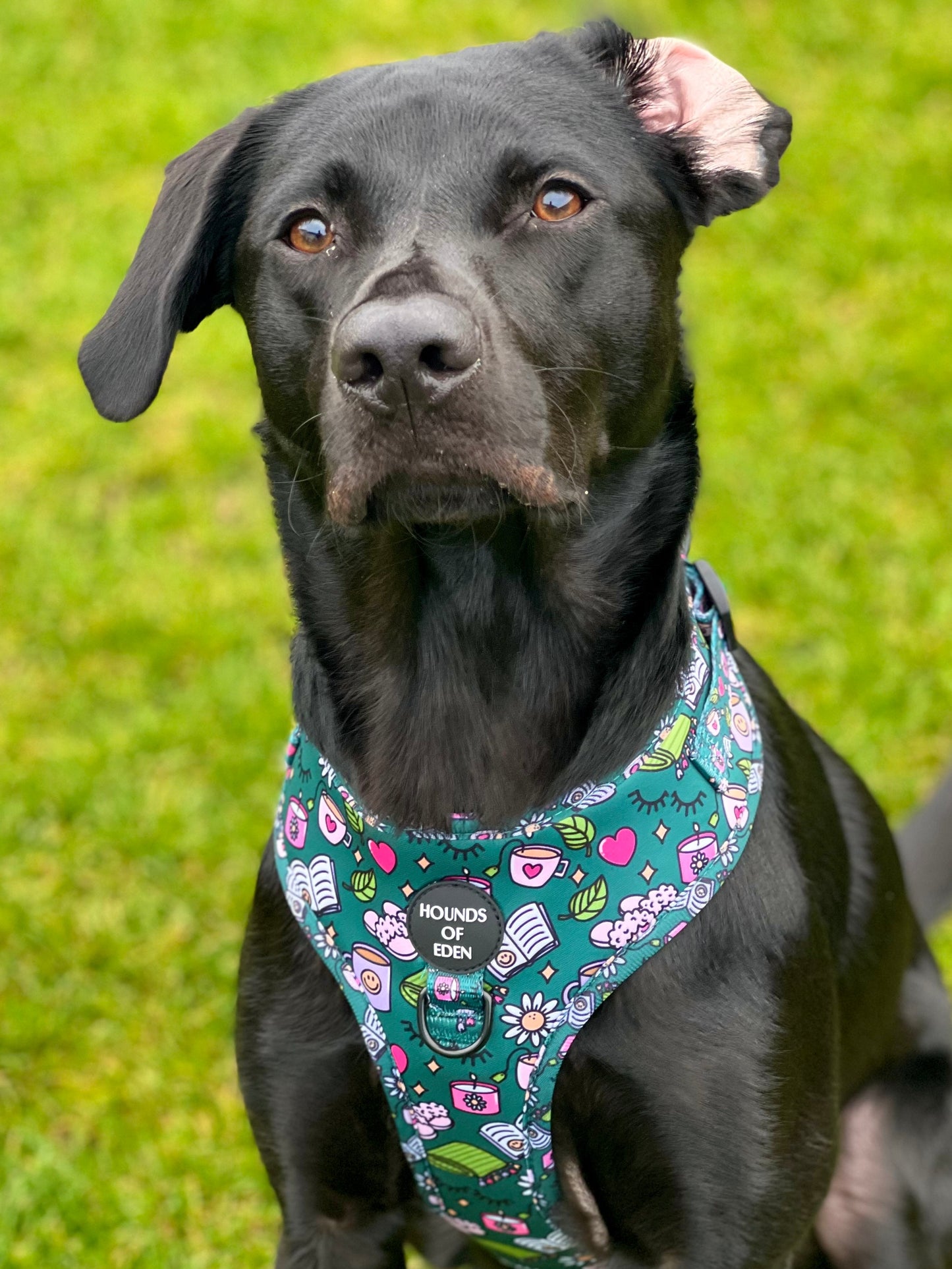 Self Care Design Poop Bag Holder