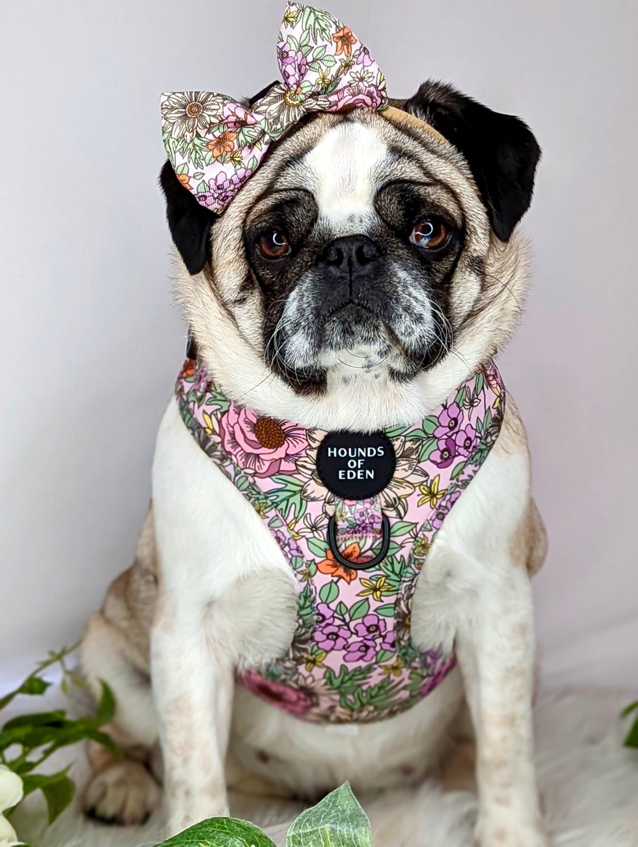 Wild Blossom - Design Dog Collar