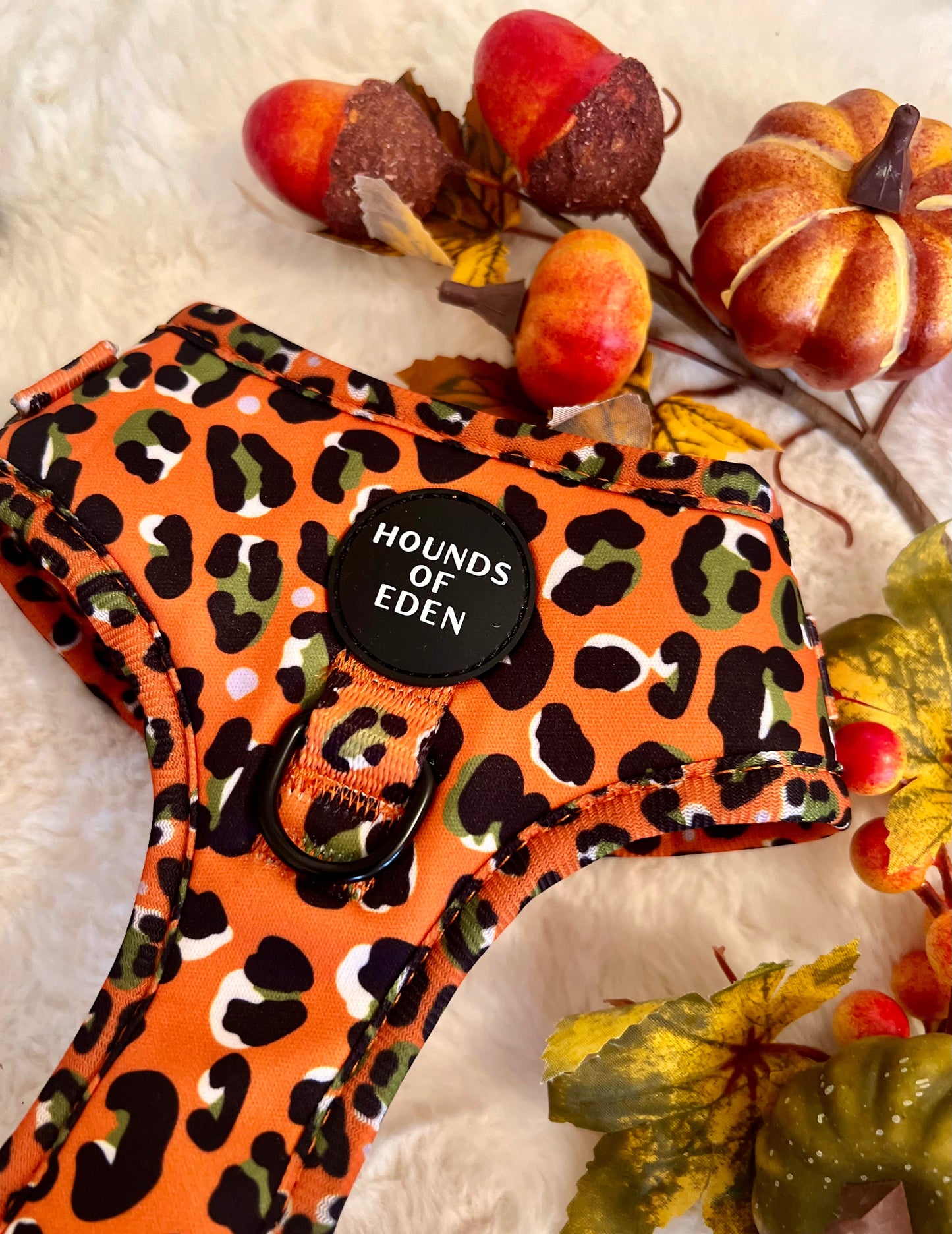 Burnt Orange Leopard Design Poop Bag Holder