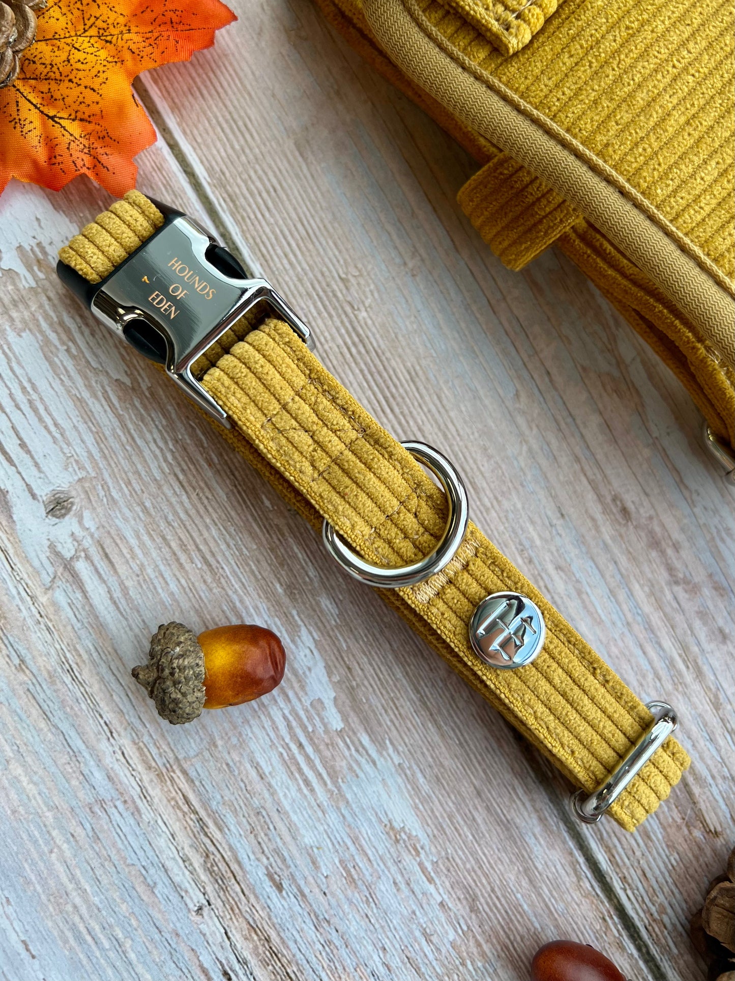Mustard Yellow Corduroy Collar