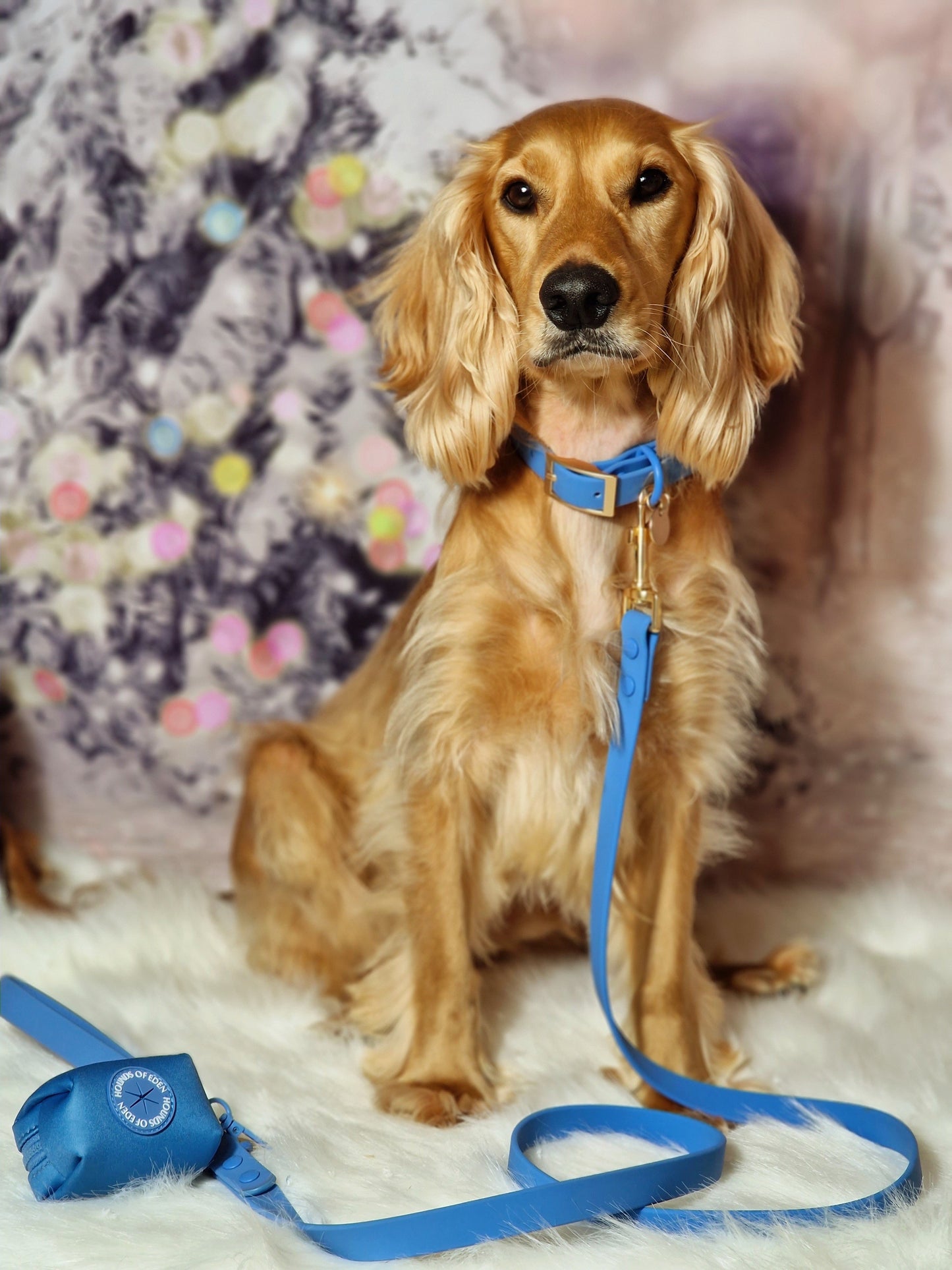 Lichen Blue 'All Weather' Dog Lead