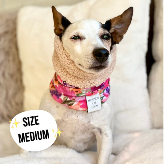 Florentina Dog Snood