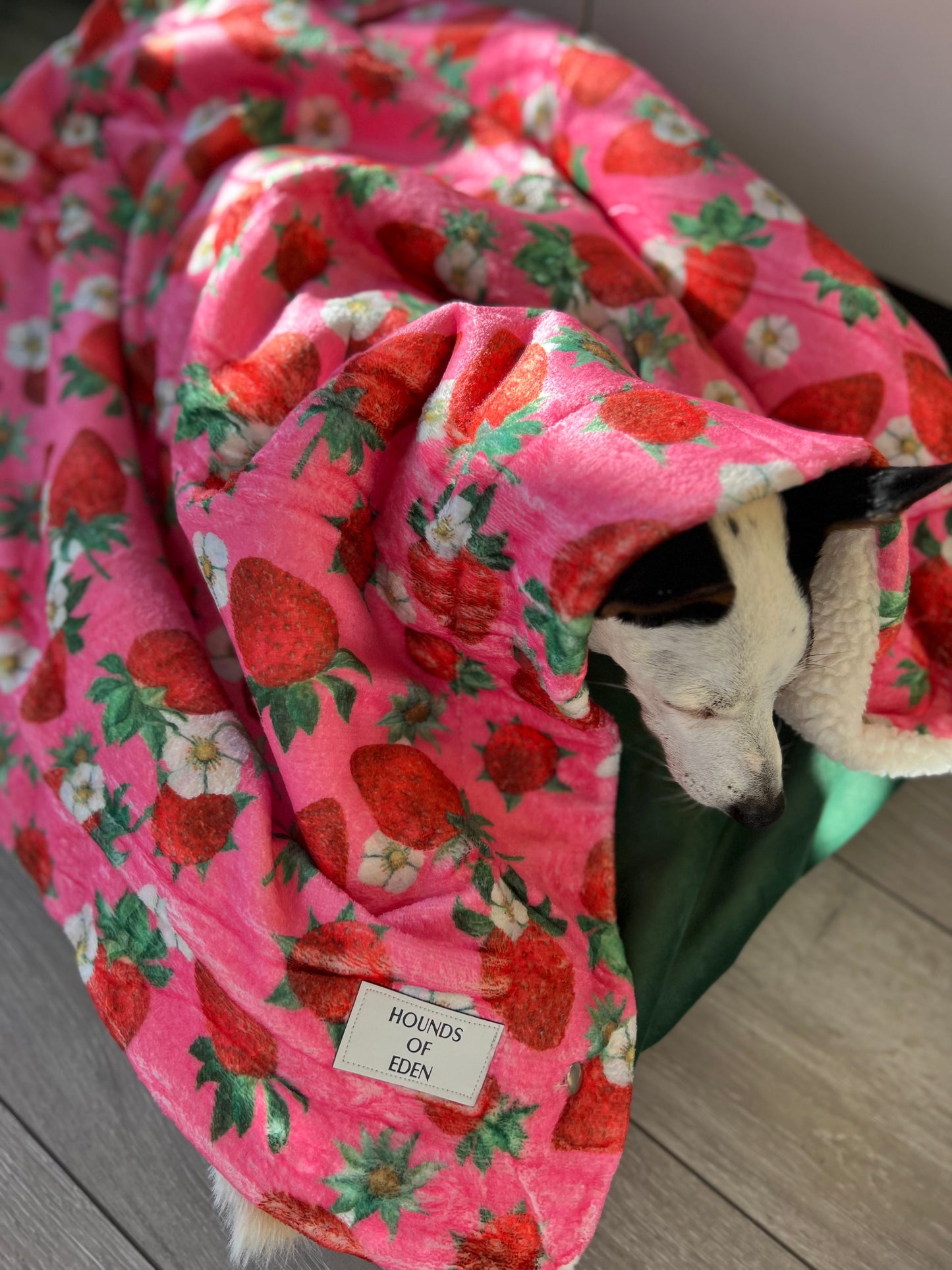 Strawberry Patch Design Dog Harness