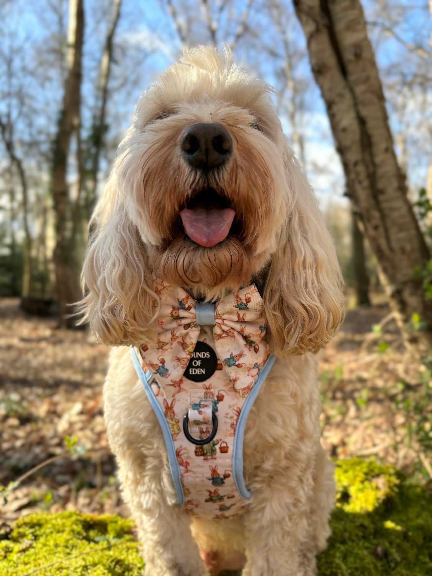 Bunny Tales - Blue, Sailor Bow Tie