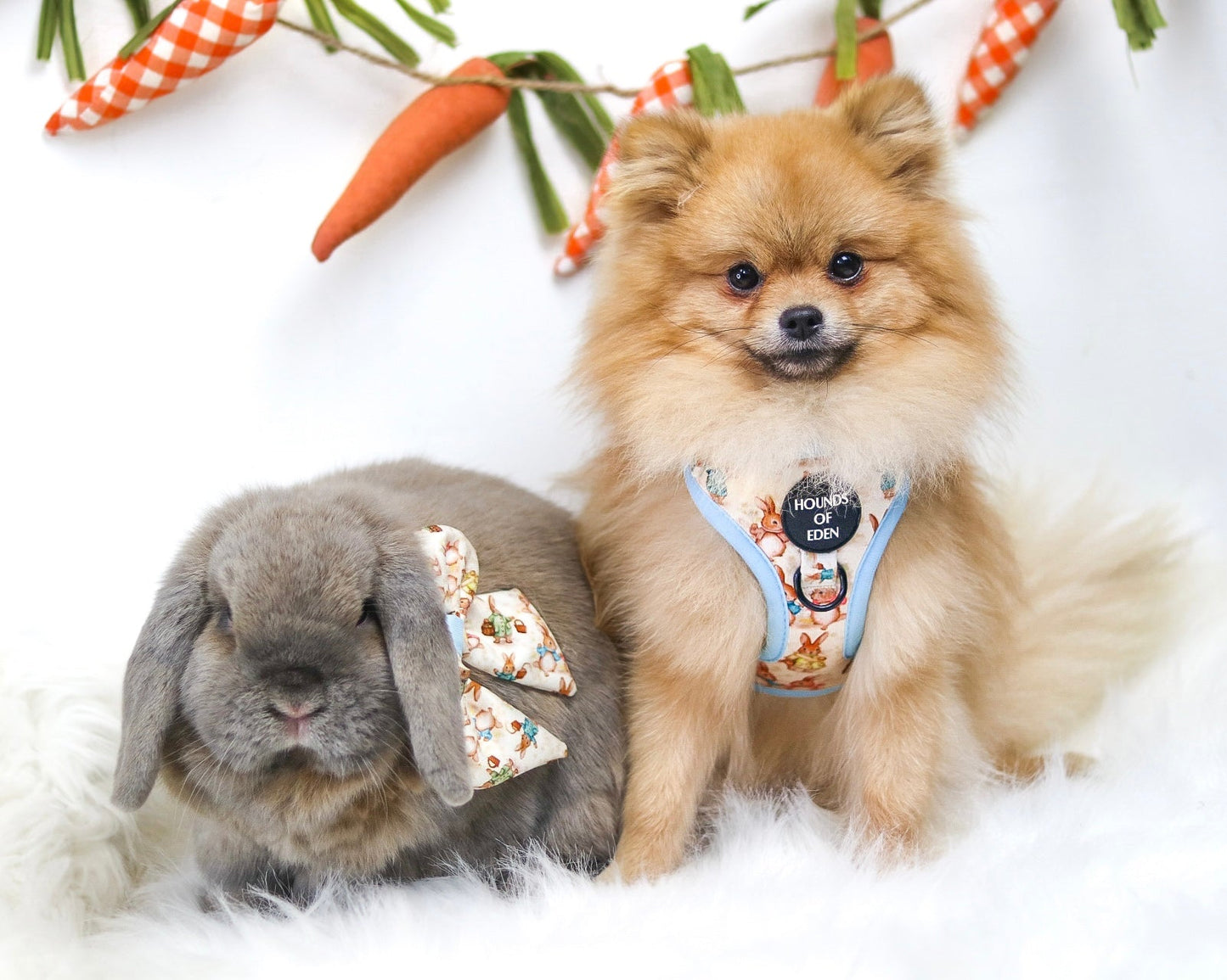 Bunny Tales - Blue, Dog Harness (XXS-XS)