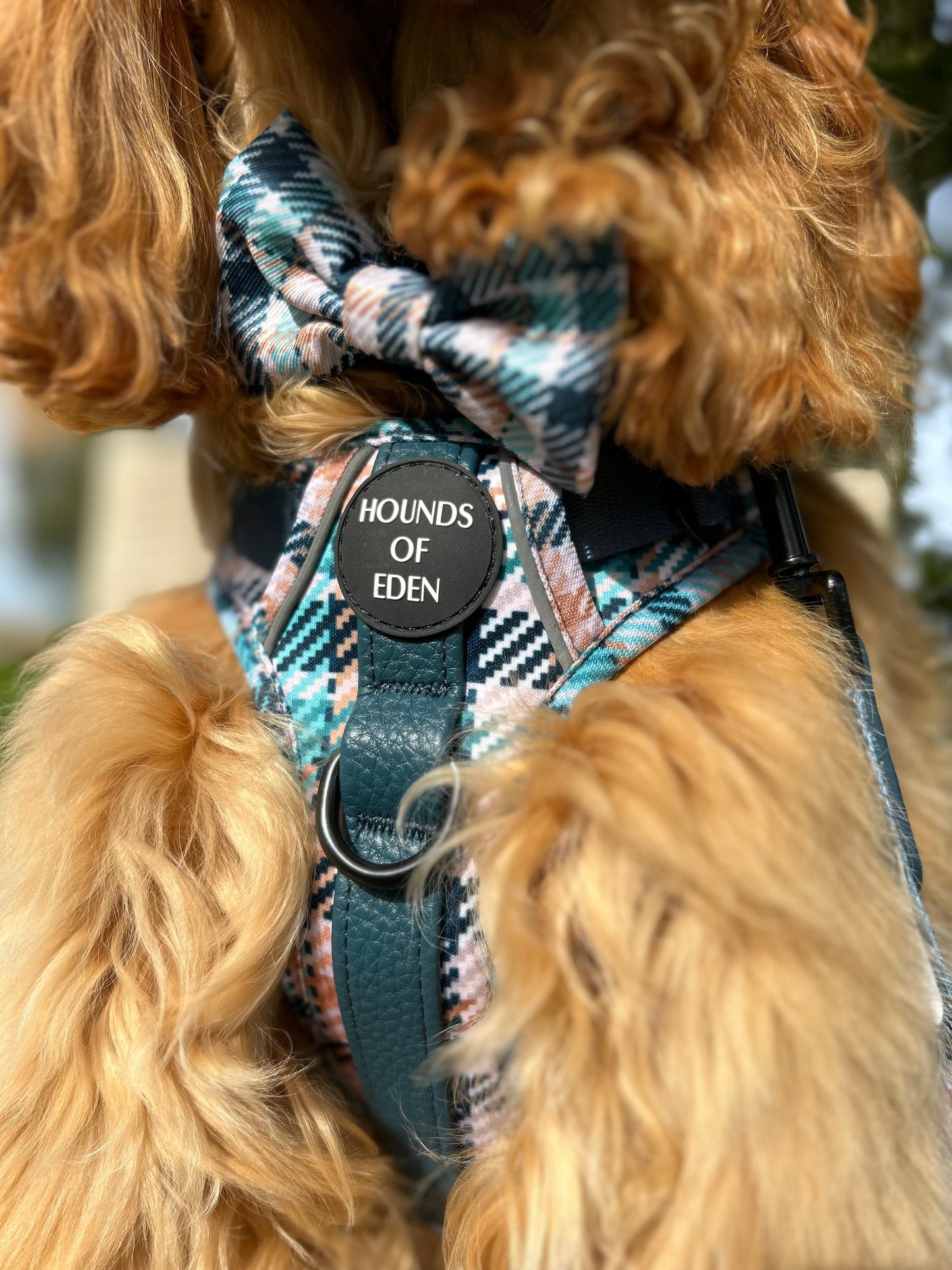 Tealing Smart Design Dog Bow Tie