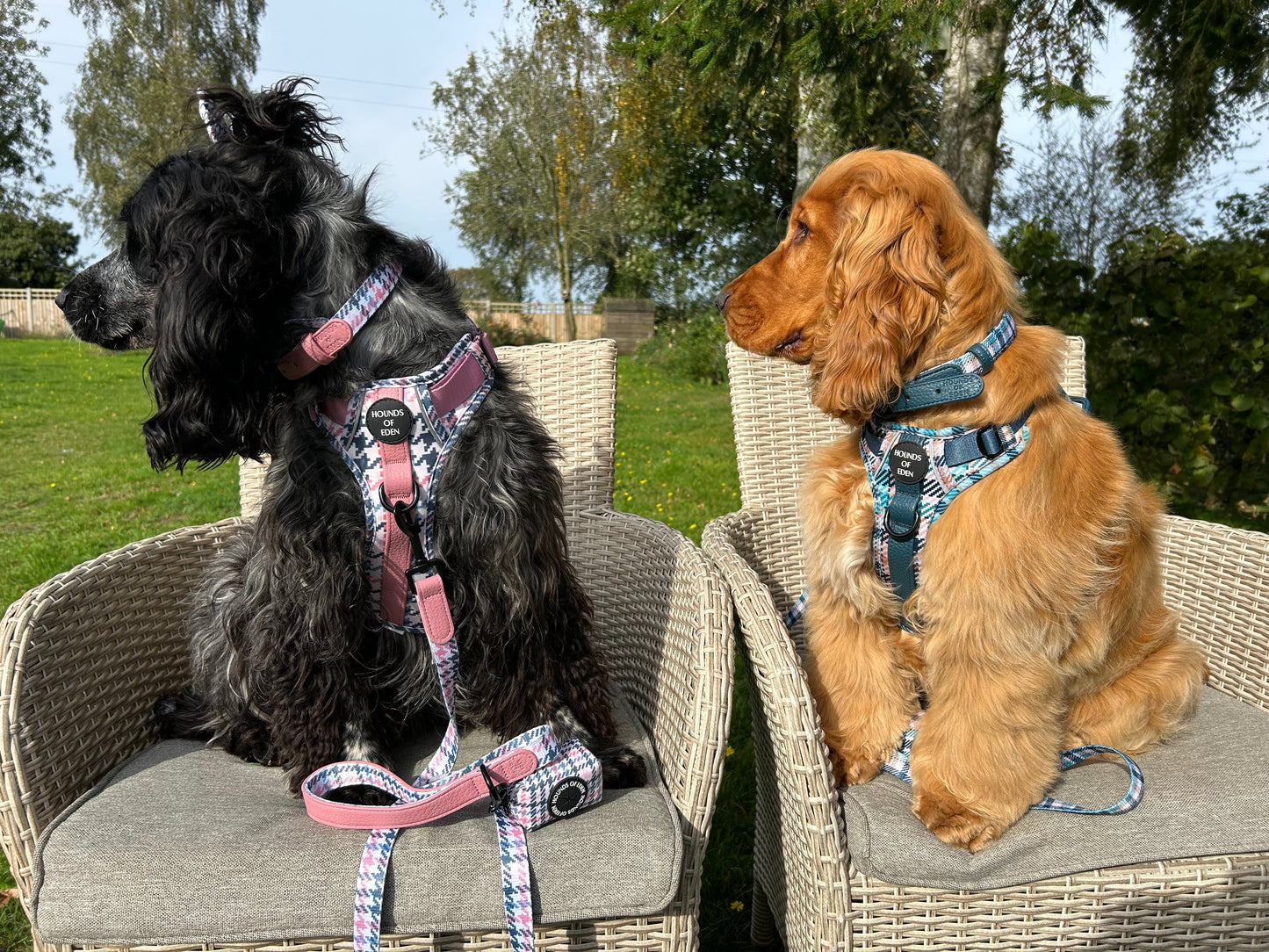 Pink Houndstooth Leather Dog Lead
