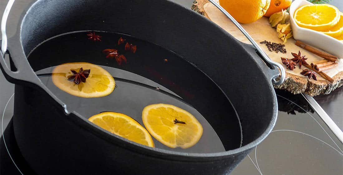 Petromax Dutch Ovens With Flat Bottom Surface (Various Size)