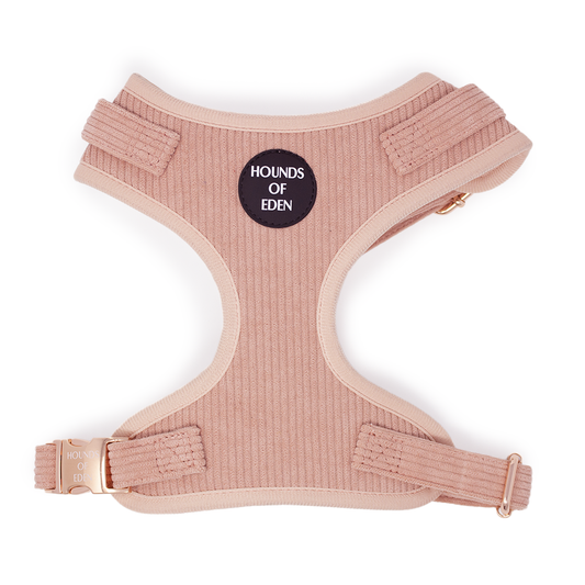 Peach Schnapps - Pink Corduroy Harness
