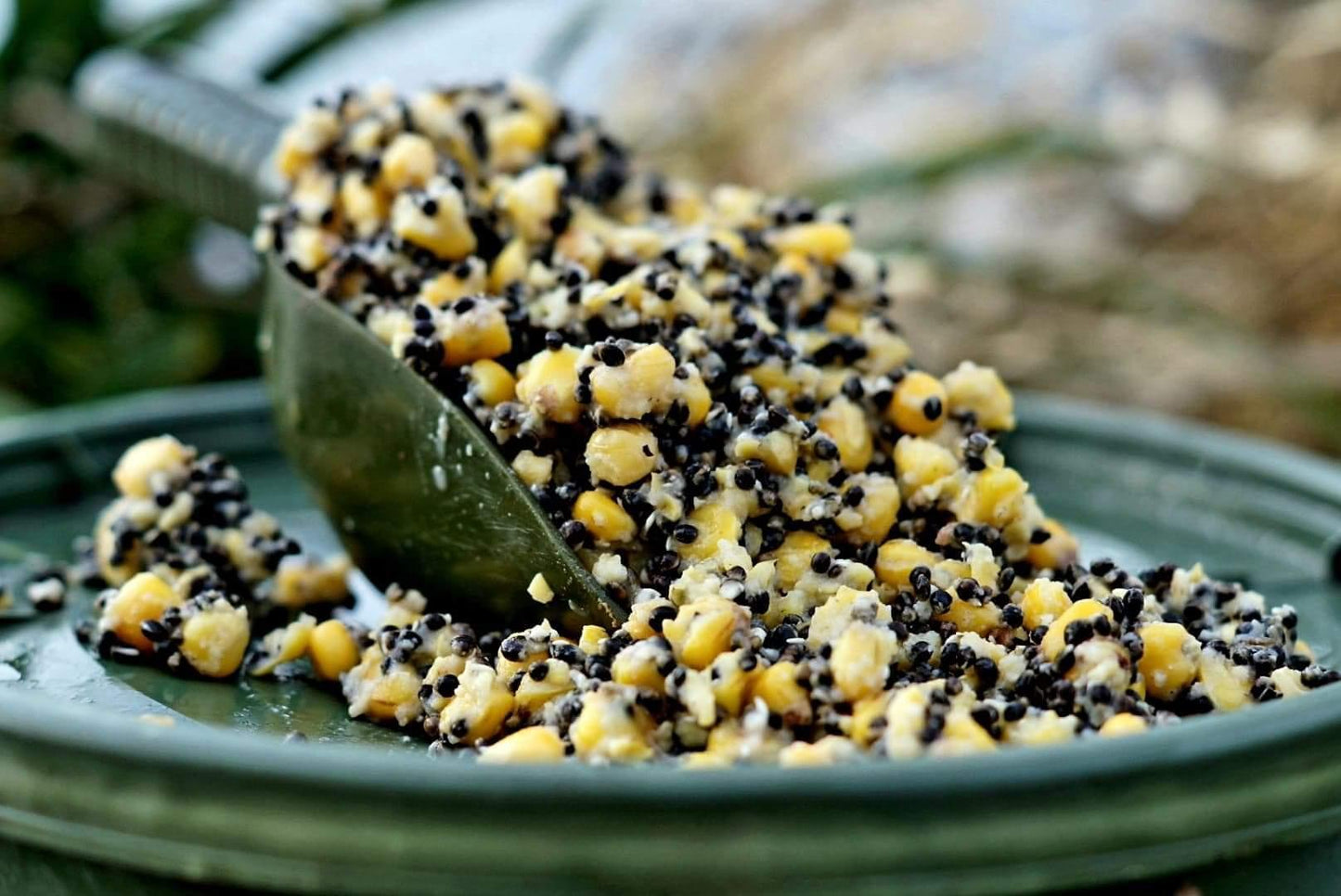Hemp & Maize