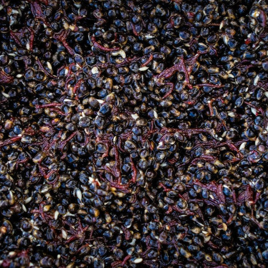Hemp & Bloodworm