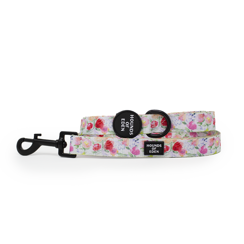 Ziggy's Secret Garden Design Dog Lead
