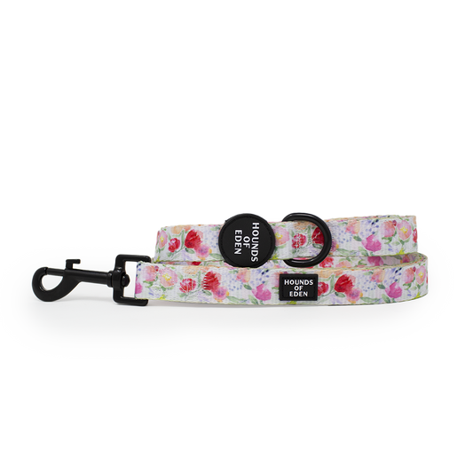 Ziggy's Secret Garden Design Dog Lead