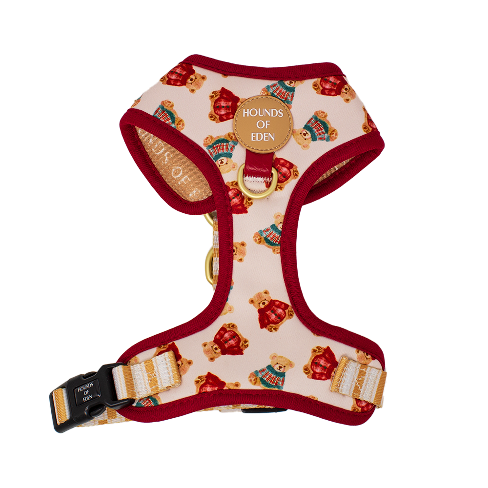 Harrold + Hattie Bears Dog Harness (XXS-XS)
