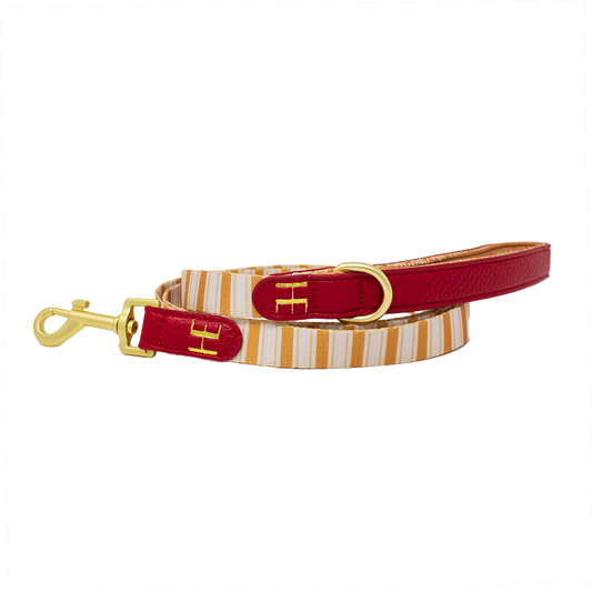 Harrold + Hattie Bears Leather Dog Lead